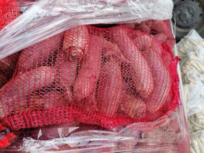 Buraczki podłuzne 20 kilo Kraków Bronowice