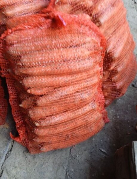 Marchew 25 kilo prosto z gospodarstwa od rolnika wysyłka inpost paczkomat Nysa